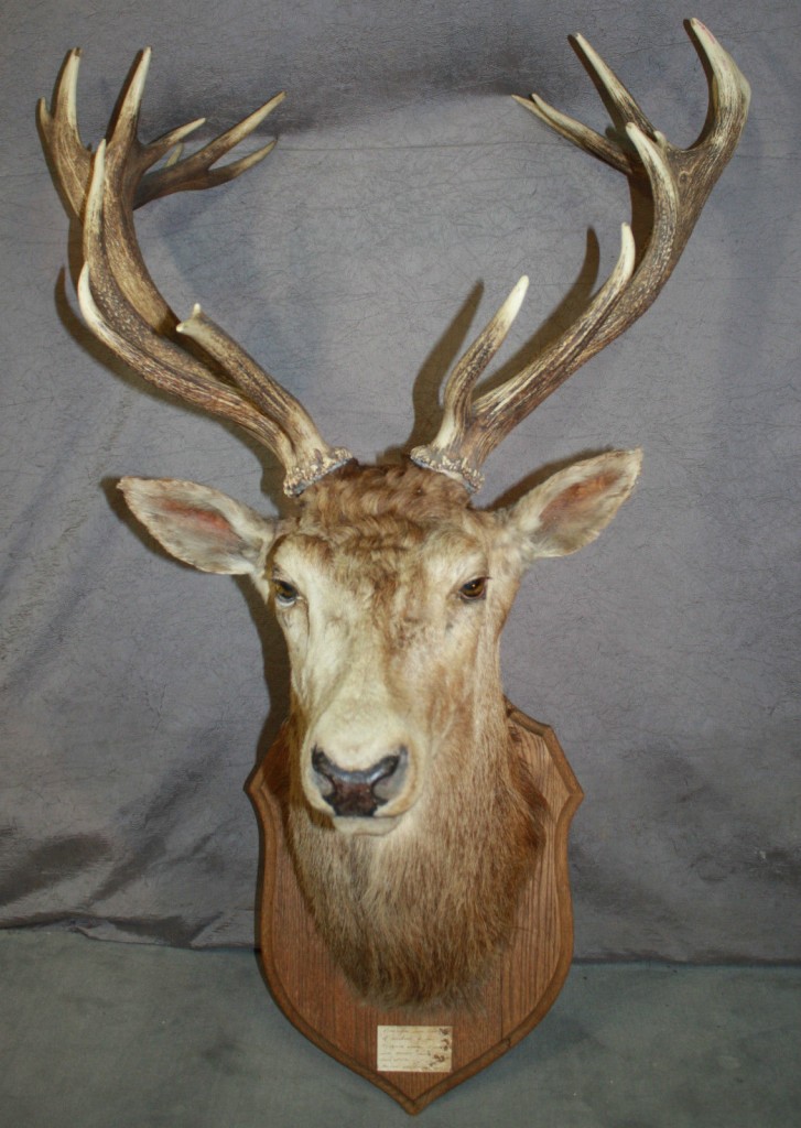 Brocante De La Ferme