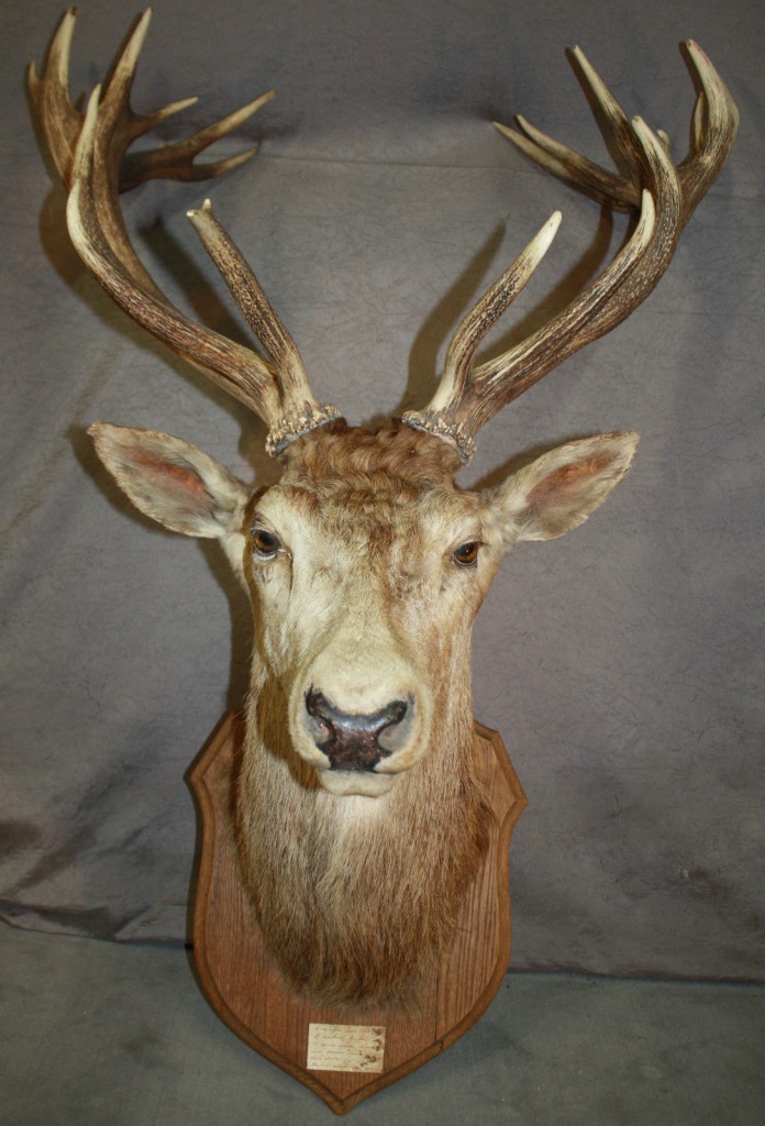 Brocante De La Ferme