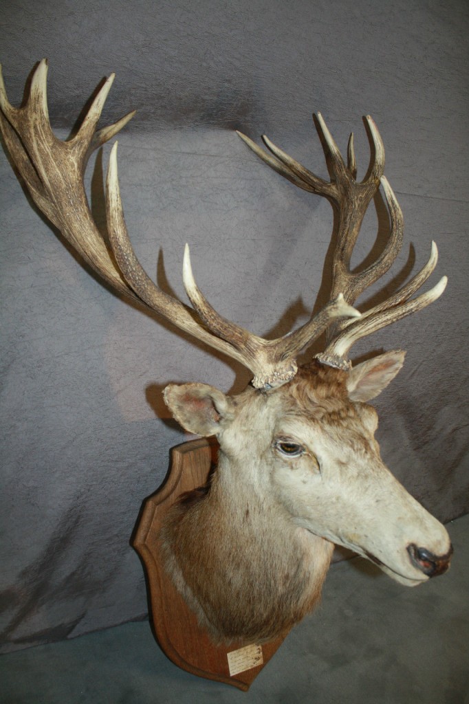 Brocante De La Ferme