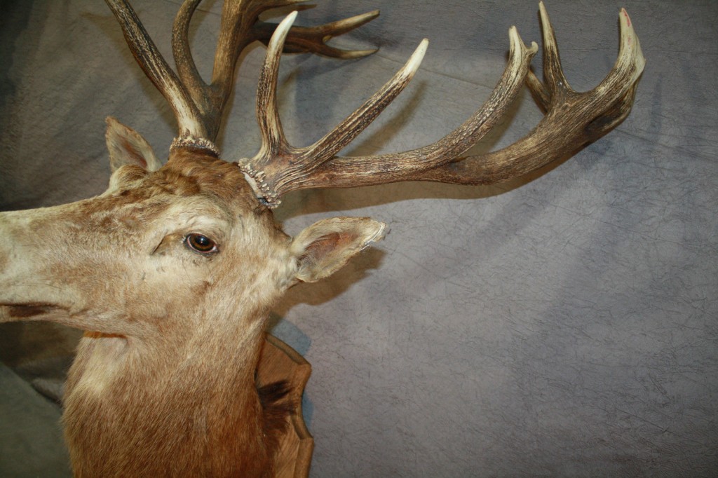 Brocante De La Ferme