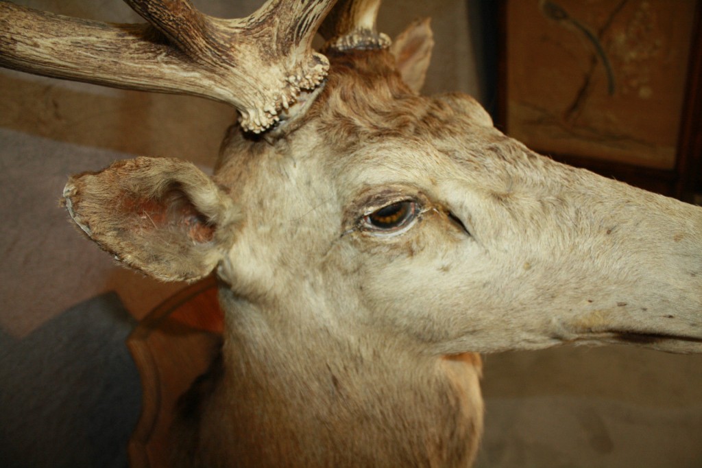 Brocante De La Ferme