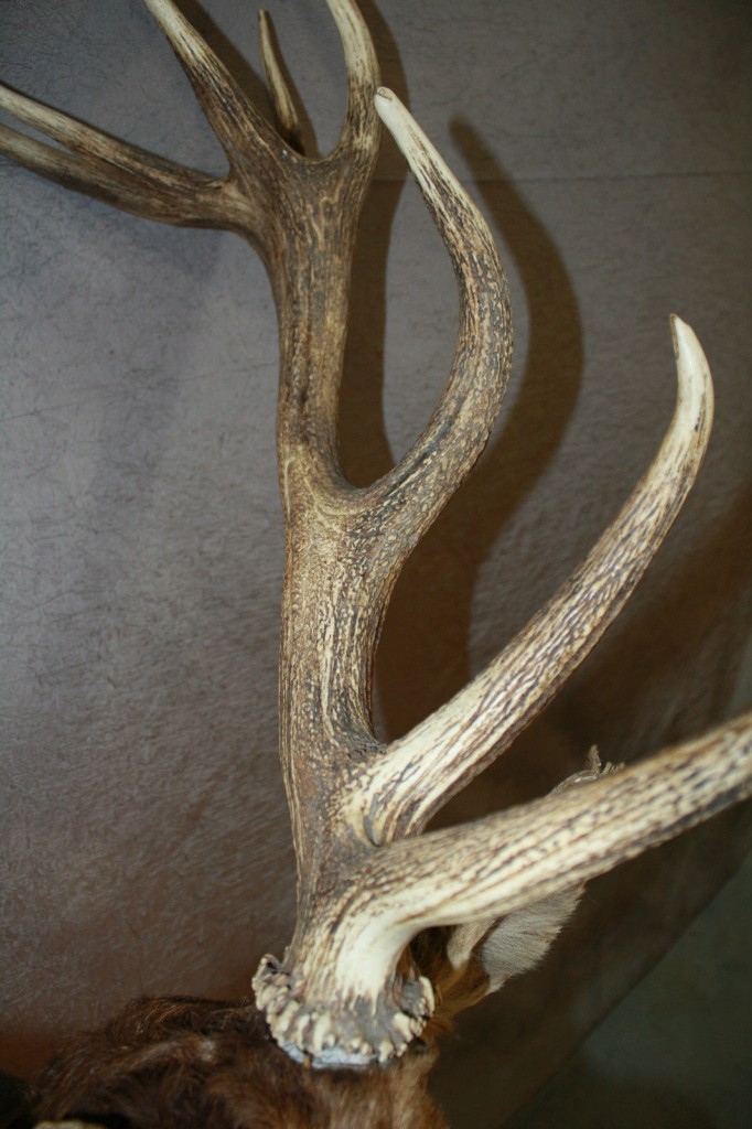 Brocante De La Ferme