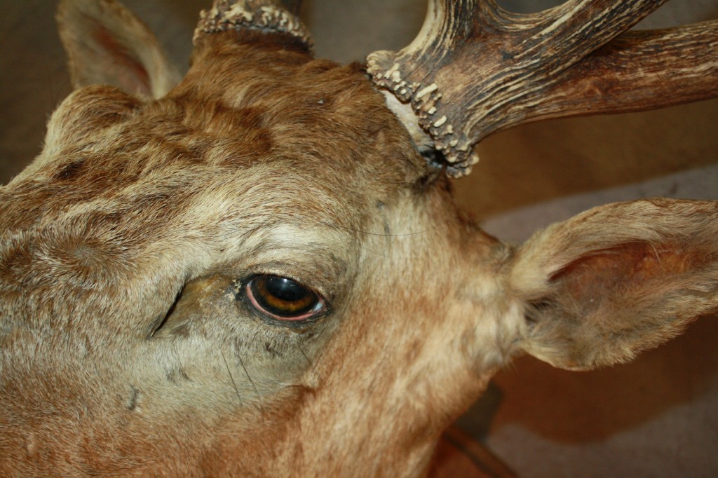 Brocante De La Ferme