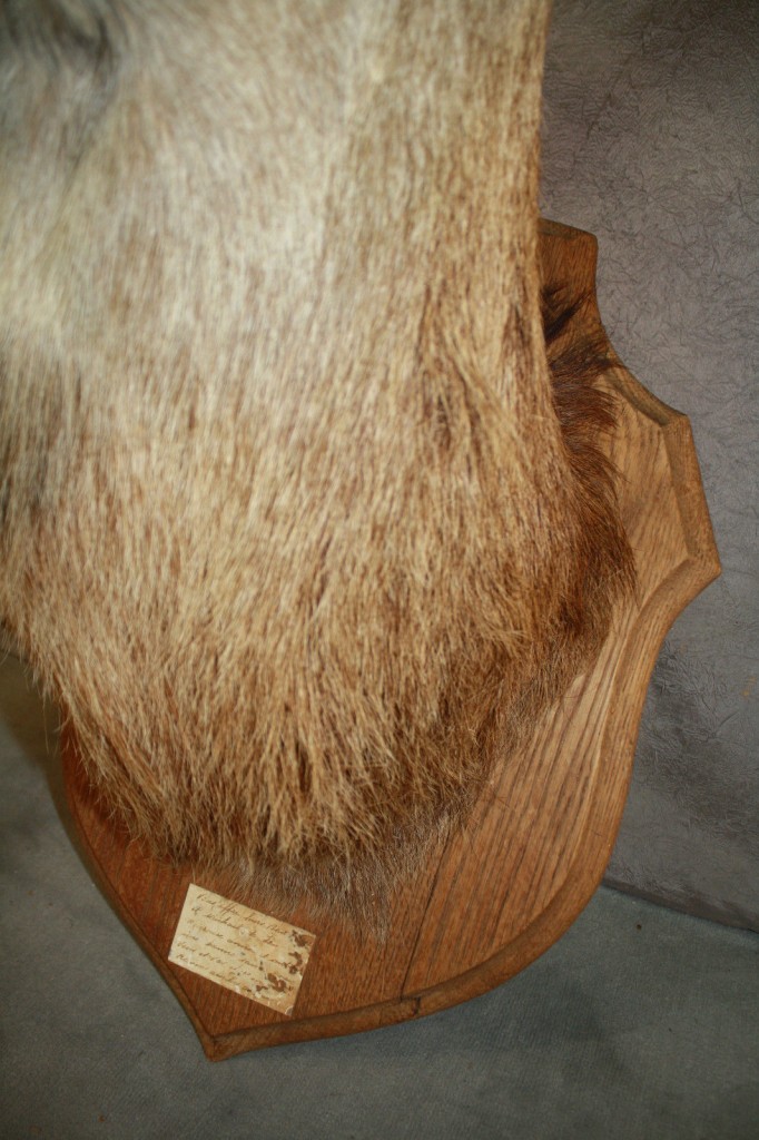 Brocante De La Ferme