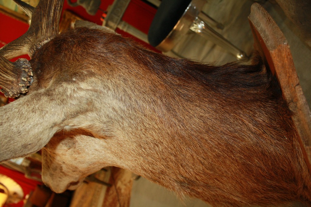 Brocante De La Ferme