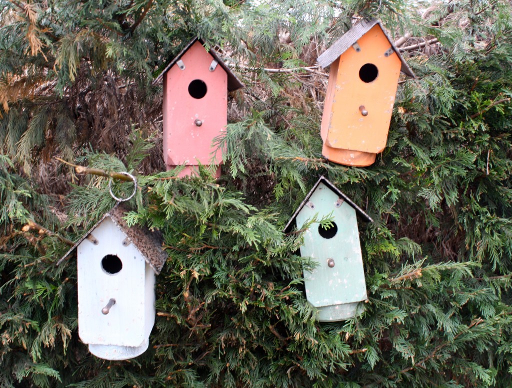 Brocante De La Ferme
