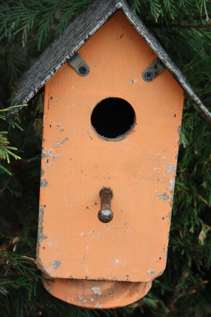 Brocante De La Ferme