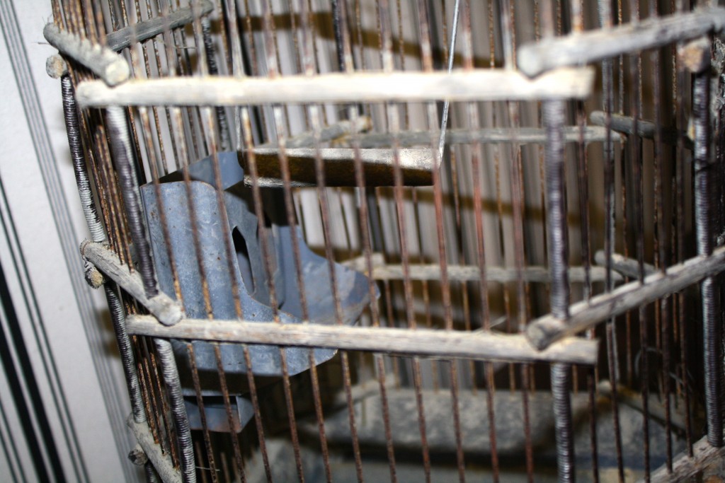 Brocante De La Ferme