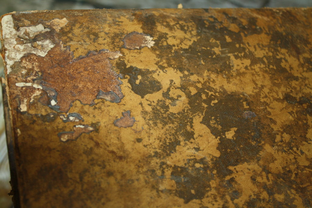 Brocante De La Ferme