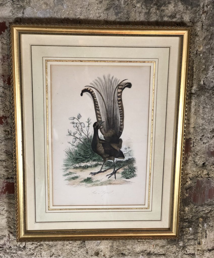 Brocante De La Ferme