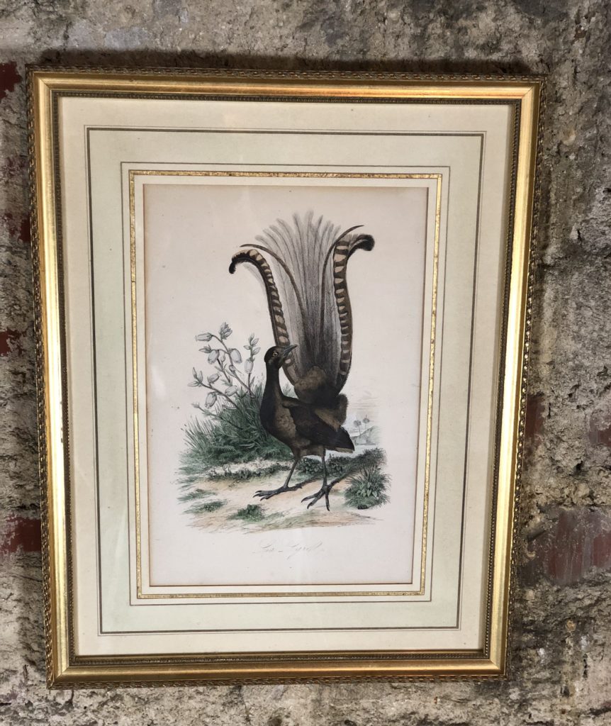 Brocante De La Ferme