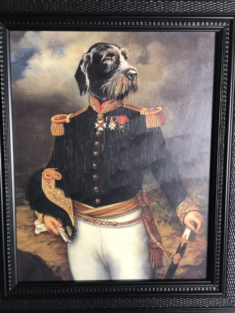 Brocante De La Ferme