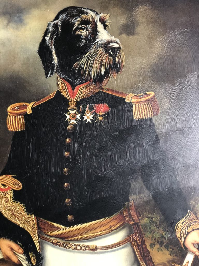 Brocante De La Ferme