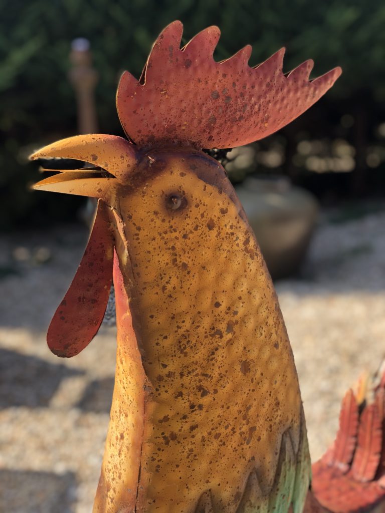 Brocante De La Ferme