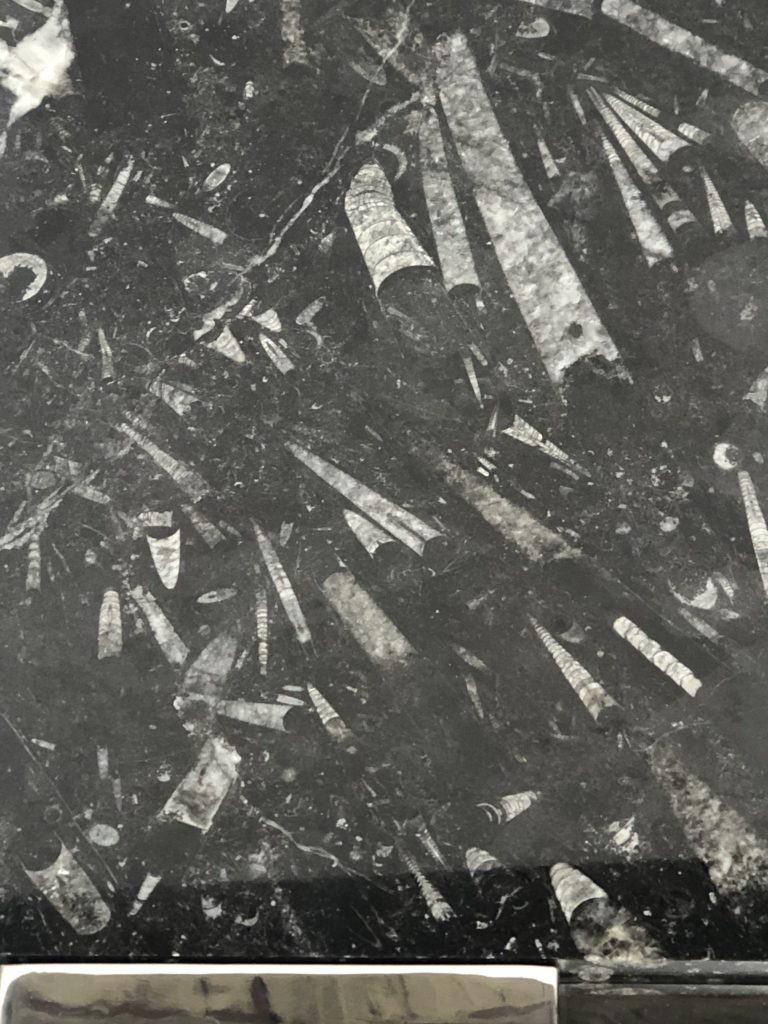 Brocante De La Ferme