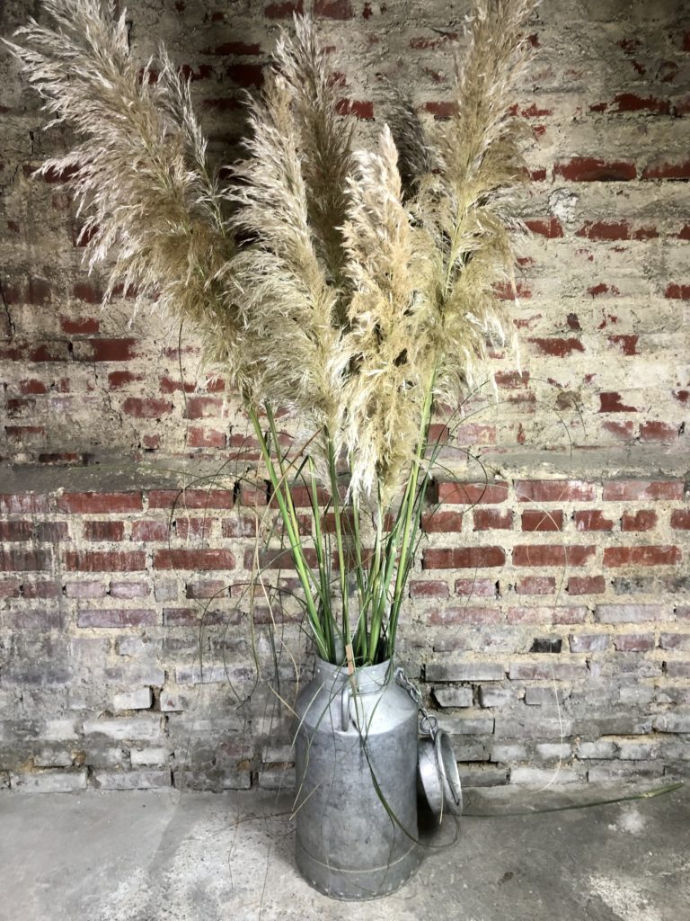 Brocante De La Ferme