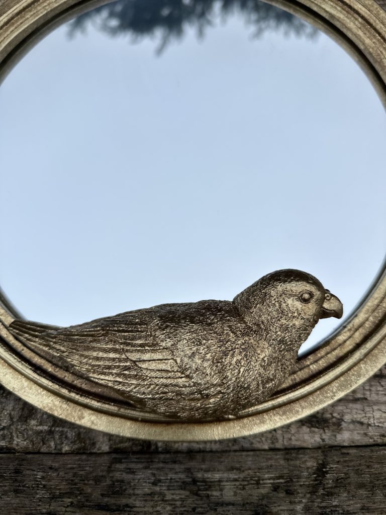 Brocante De La Ferme