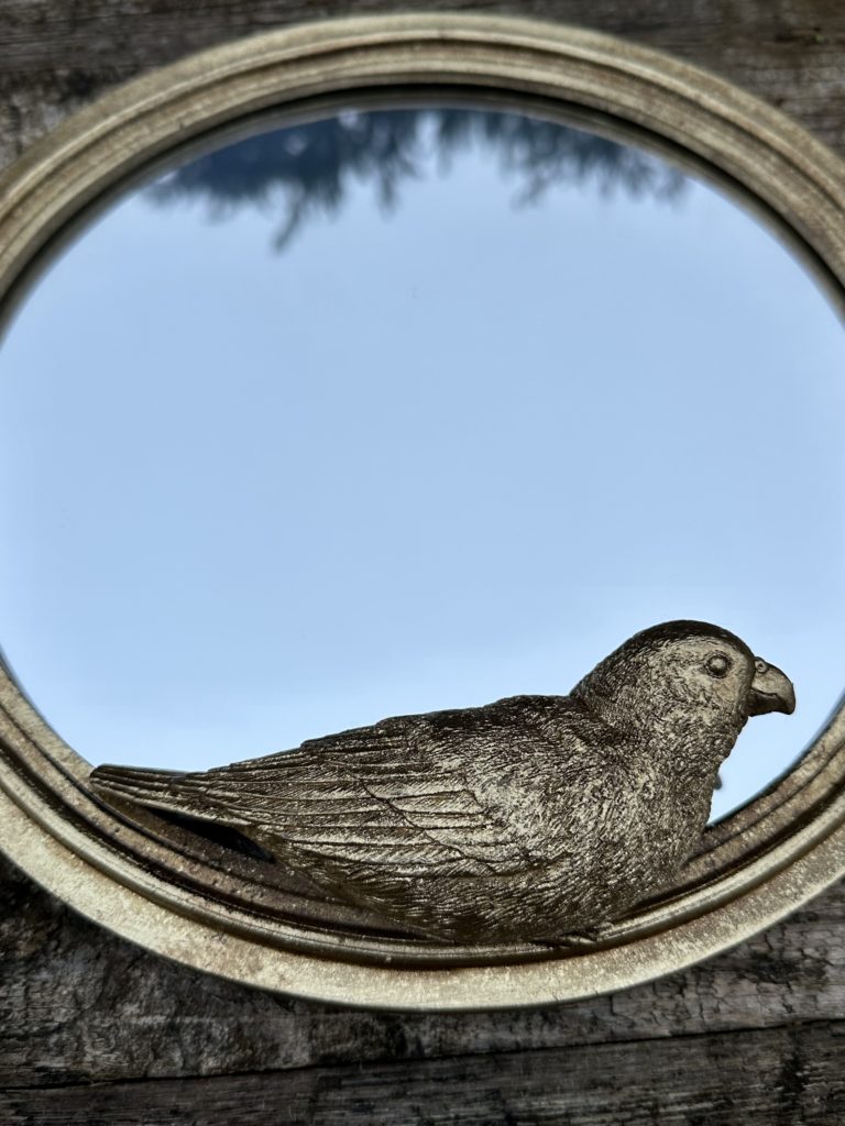 Brocante De La Ferme