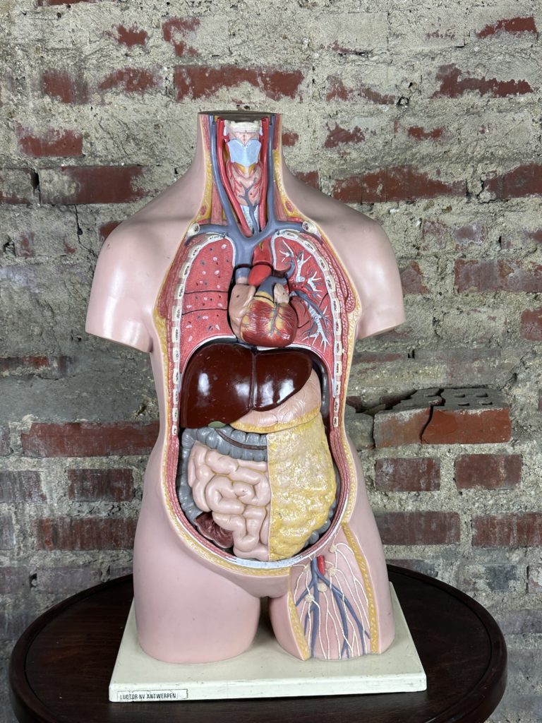 Brocante De La Ferme