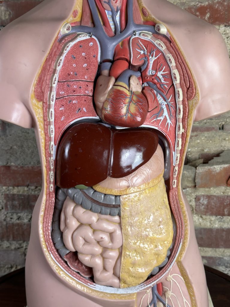 Brocante De La Ferme