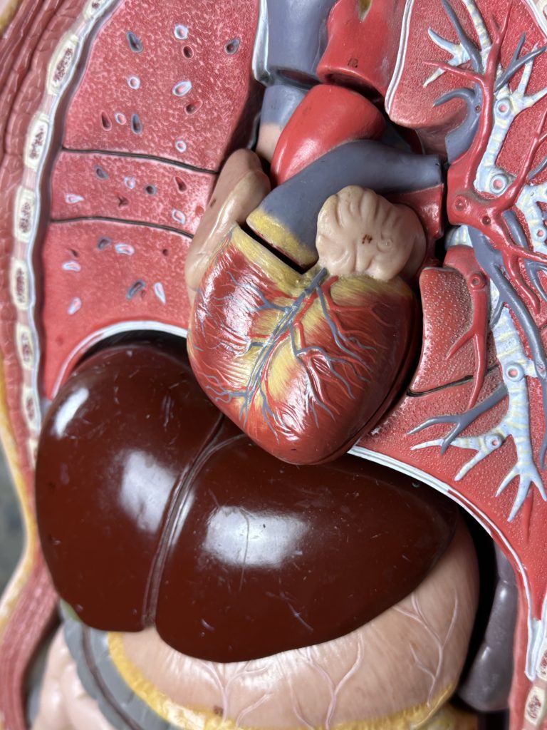 Brocante De La Ferme