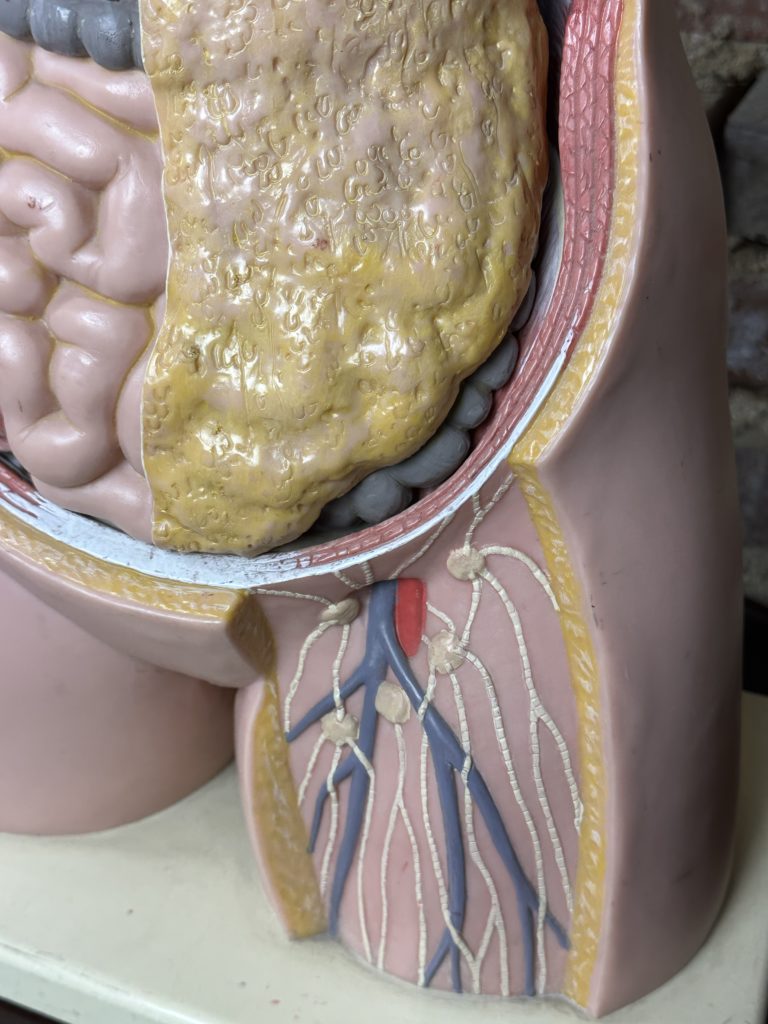 Brocante De La Ferme