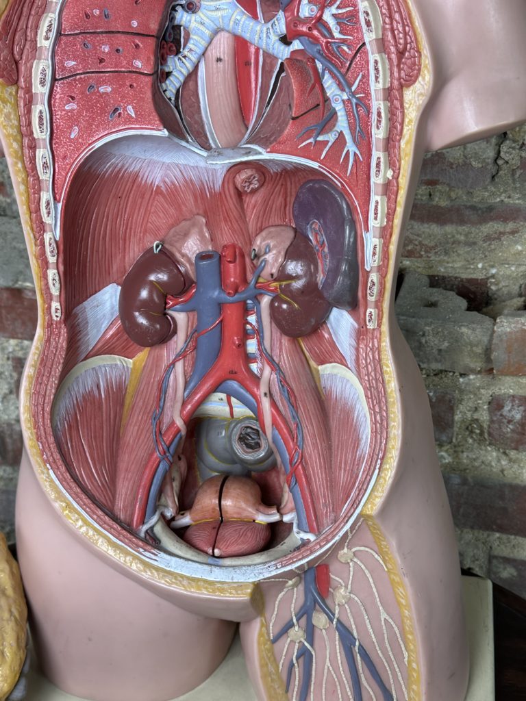 Brocante De La Ferme