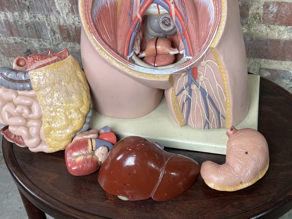 Brocante De La Ferme