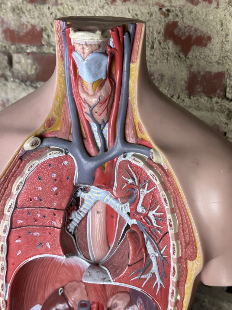 Brocante De La Ferme