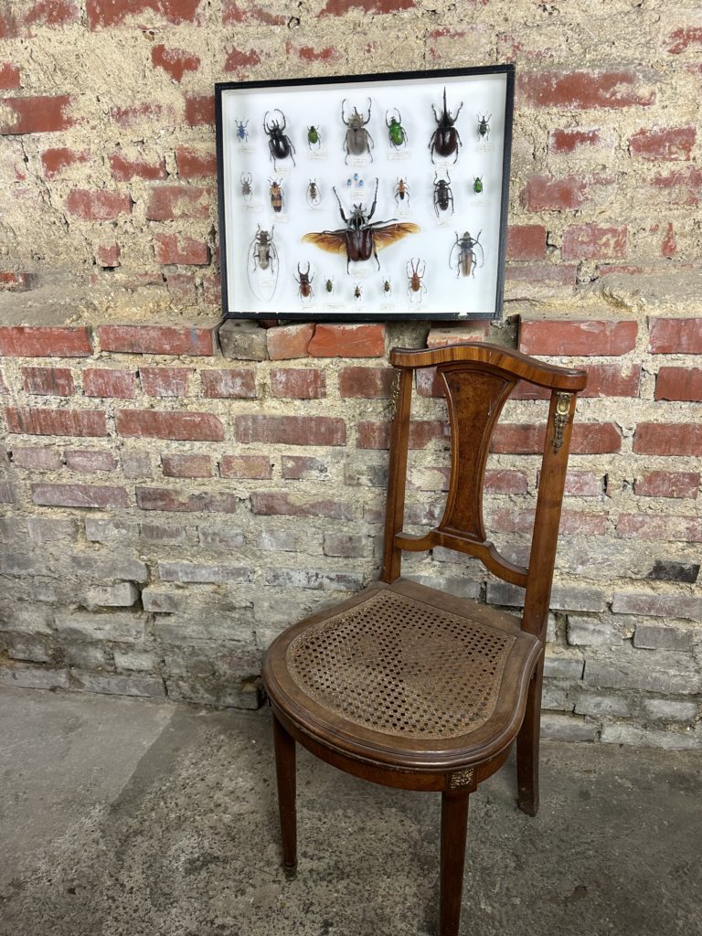 Brocante De La Ferme