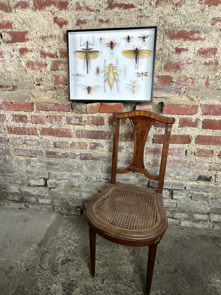 Brocante De La Ferme
