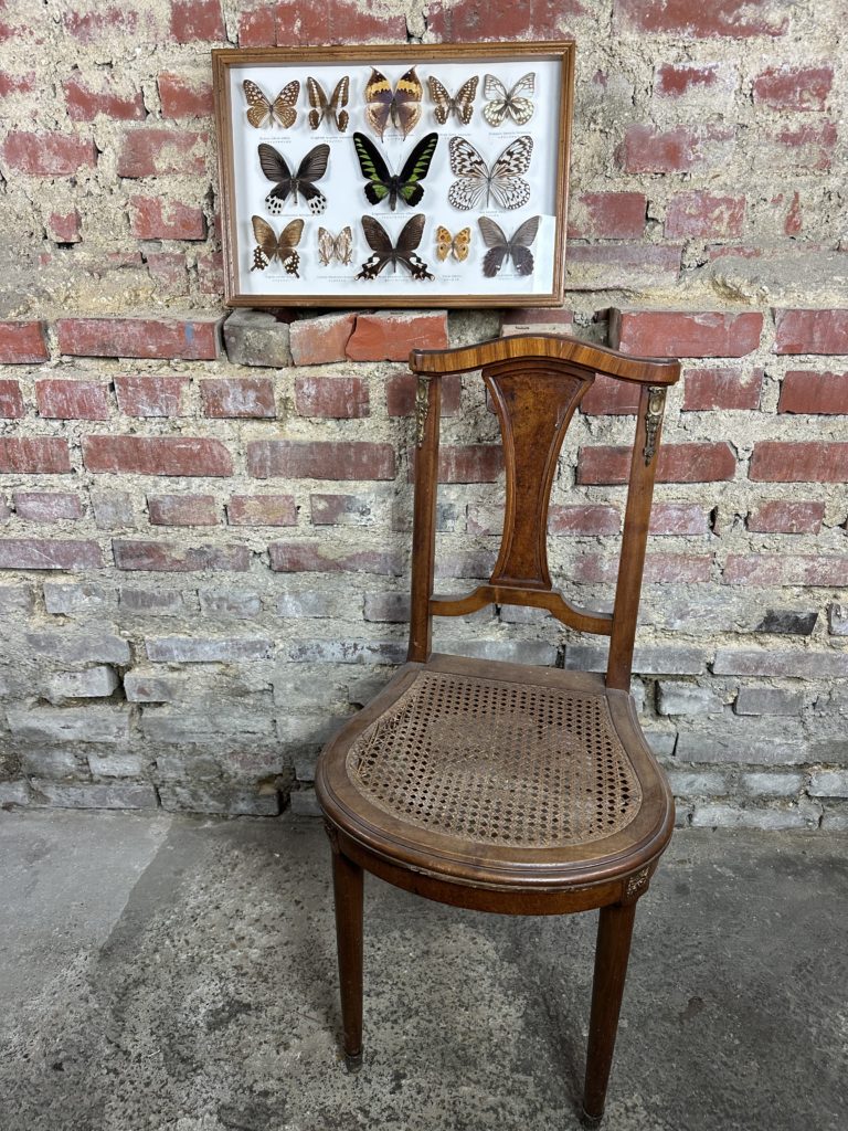 Brocante De La Ferme