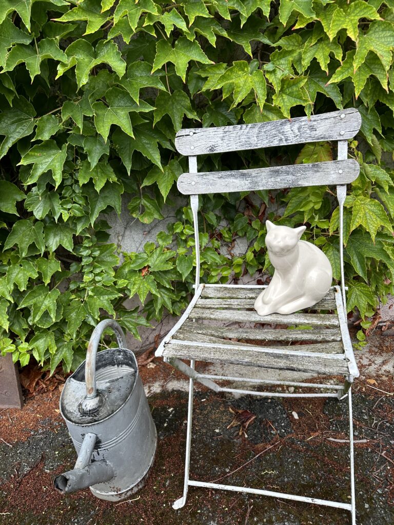 Brocante De La Ferme