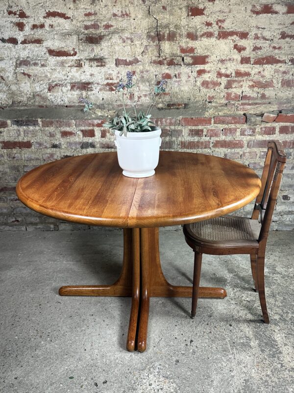 Table scandinave en teck de Biesse JK par Möbelfabrik 1960 – Image 4